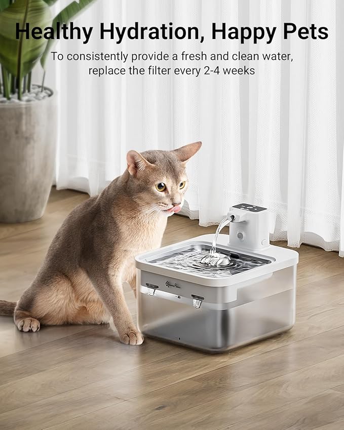 DownyPaws 6 Packs Replacement Filters for Battery Operated Cat Water Fountain DPWFP6, with 1 Cleaning Sponge and 1 Brush, 3 Months Set of Replacement Filters