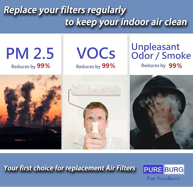 PUREBURG Replacement Filter Compatible with Tenergy Sorbi DH02 Dehumidifier Air Purifier 2-in-1(1000ML) & Afloia Q8 & Honati Hysure Q7,3-Pack H13 HEPA + Activated Carbon Version