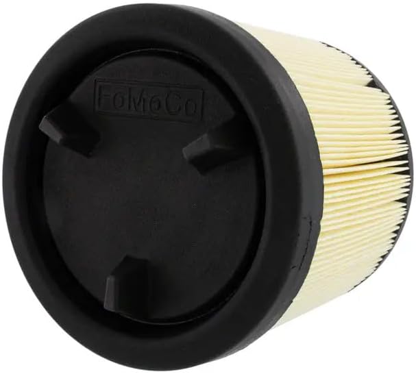 Motorcraft Engine Air Filter - FA-2022