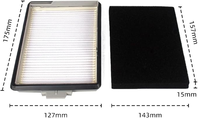 HEPA Fine Filter For Boost CX1 Series Vacuum Cleaners, CX-FSF 11639250 11169285 Replacement Part For CX1 Active, Cat & Dog, For Parquet, For Powerline, Bagless Canister(2 PACK)