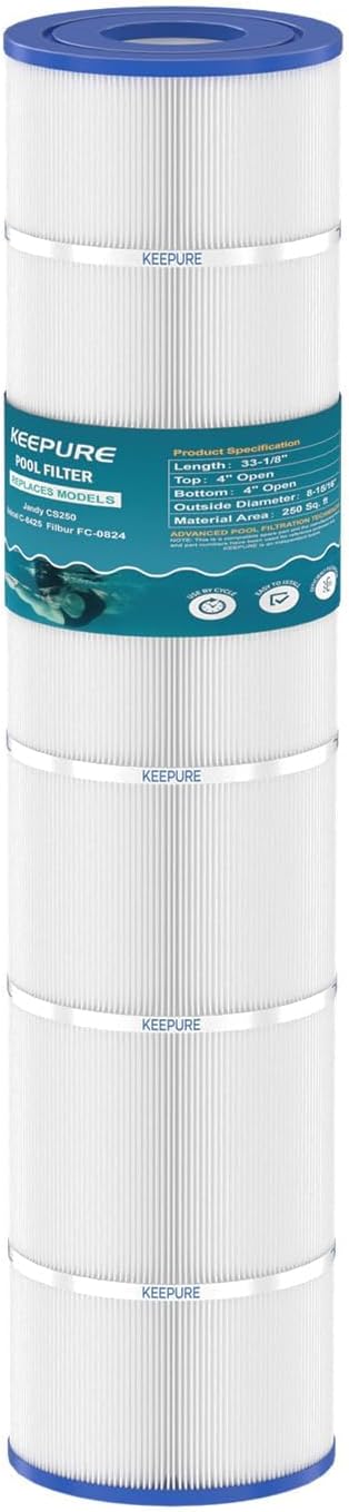 Jandy CS250 Pool Filter Cartridge Replacement for PJANCS250, C-8425, FC-0824, R0462500, 17-175-3630 Filter Cartridge, 250 Sq.ft, 1 Pack