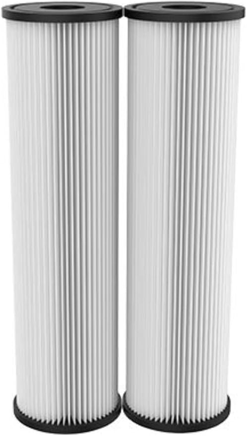 Pentair OMNIFilter RS1 Sediment Water Filter, 10" Standard Whole House Pleated Cellulose Replacement Cartridge, 10" x 2.5", 20 Micron, Pack of 2