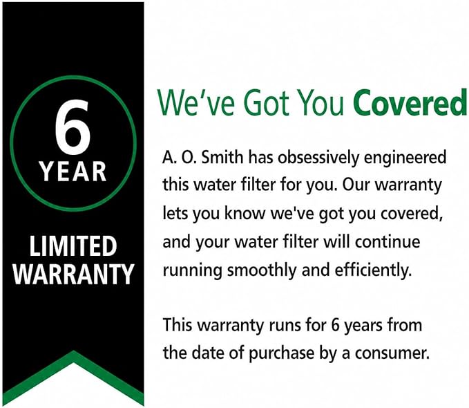 AO Smith Whole House Salt Free Descaler System - Works with City & Well Water Filters - 6yr, 600,000 Gl - Water Softener Alternative for Home - AO-WH-DSCLR