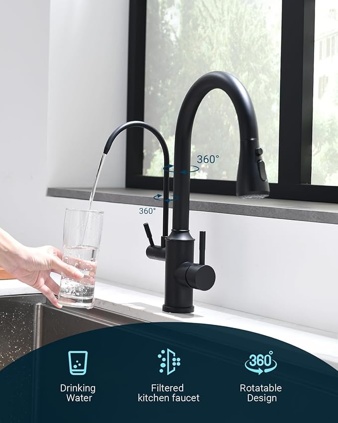 APPASO Kitchen Faucet with Water Filter, CUPC-Certified Hoses for Healthy Water, Matte Black 3 Way Sink Filter Faucets with Sprayer, 2 in 1 Faucet Black Matte (Without Filtration Device)