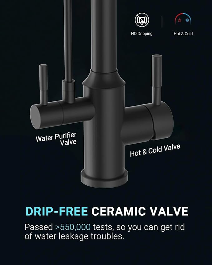 APPASO Kitchen Faucet with Water Filter, CUPC-Certified Hoses for Healthy Water, Matte Black 3 Way Sink Filter Faucets with Sprayer, 2 in 1 Faucet Black Matte (Without Filtration Device)