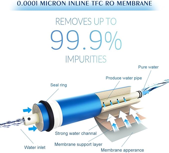 5-Stage Reverse Osmosis Water Filtration System 100GPD Fast Flow Plus Extra 4 Filter for Free (FS-RO-100G-A)