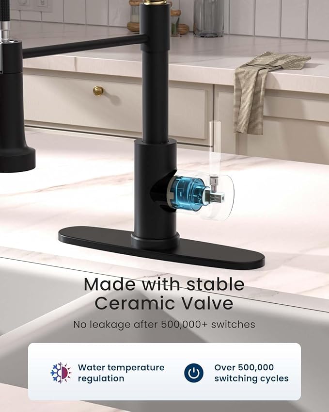 APPASO Black and Gold Kitchen Faucet with Soap Dispenser, Pull Down Kitchen Faucet Commercial Single Handle High Arc Tap, cUPC-Certified Pull-Out Hose, Water Supplies and Valve Core
