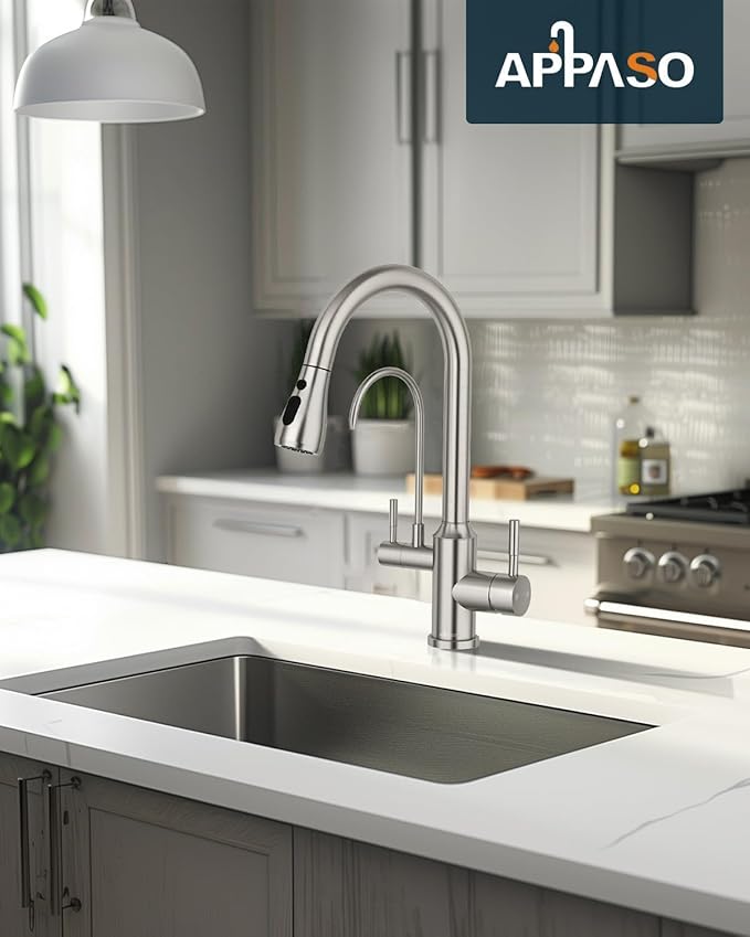 APPASO Kitchen Faucet with Water Filter, CUPC Certified Water Hose, Pull Out 3 Way Sink Faucets with Sprayer, High Arch 2 Handle Faucet - 2 in 1 Faucets Brushed Nickel, Without Filtration Device