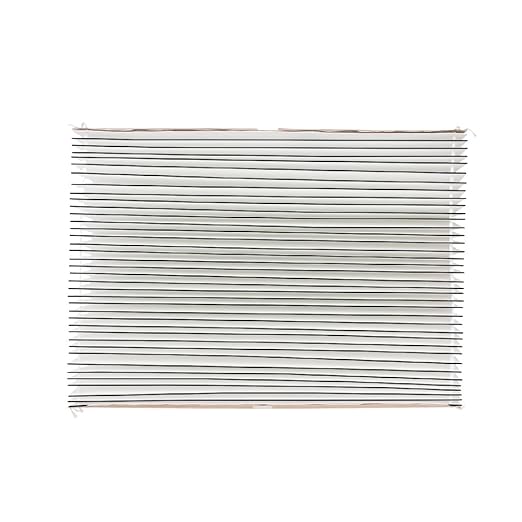 AprilAire 501 Replacement Filter for AprilAire 5000 Whole-House Air Purifier - MERV 15 Equivalent, 16x25x6 Air Filter (Pack of 2)