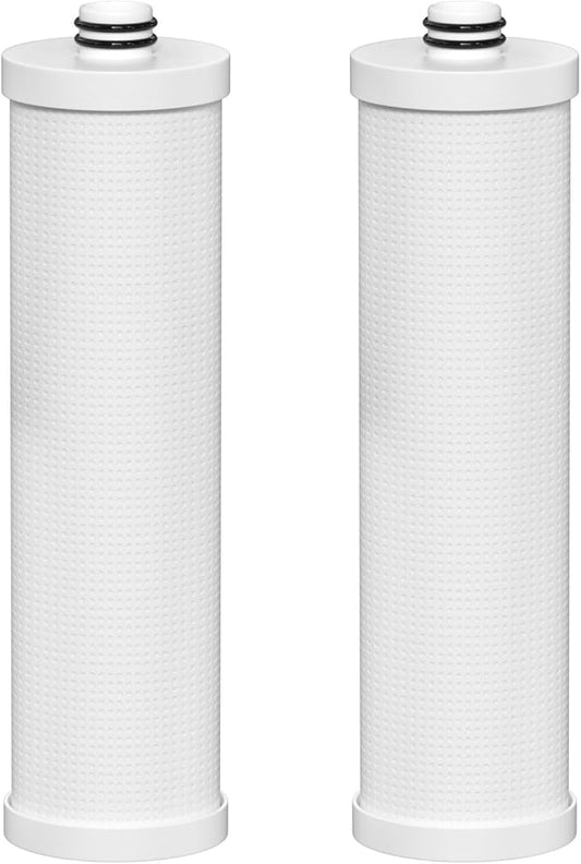 FZ-2 Replacement Filter Cartridge Compatible with Frizzlife MP99, MK99, MS99 Water Filter & MV99 RV Filter, 2 Packs