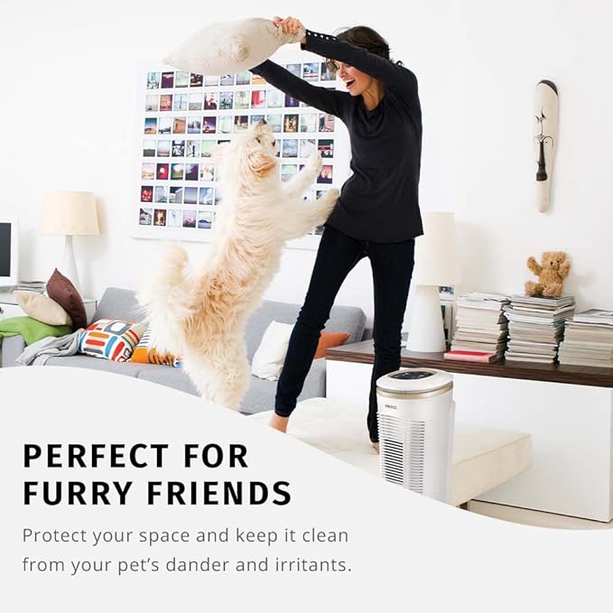 Homedics TotalClean PetPlus HEPA-Type Air Purifier Filter Replacement, Works with Homedics AT-PET01 & AT-PET02 PetPlus Air Purifiers, Captures Microscopic Airborne Particles