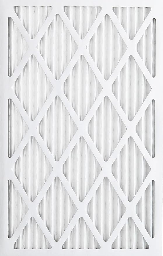 Nordic Pure 20x24x1 (Actual Size: 19 1/2 x 23 7/16 x 3/4) Pleated MERV 12 Air Filters 12 Pack