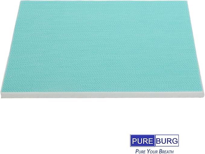 PUREBURG Replacement Filter Compatible With Frigidaire PureAir RAC-1 & FRPARAC1 Fits FGAC5044W1 Dehumidifier, Pack of 2