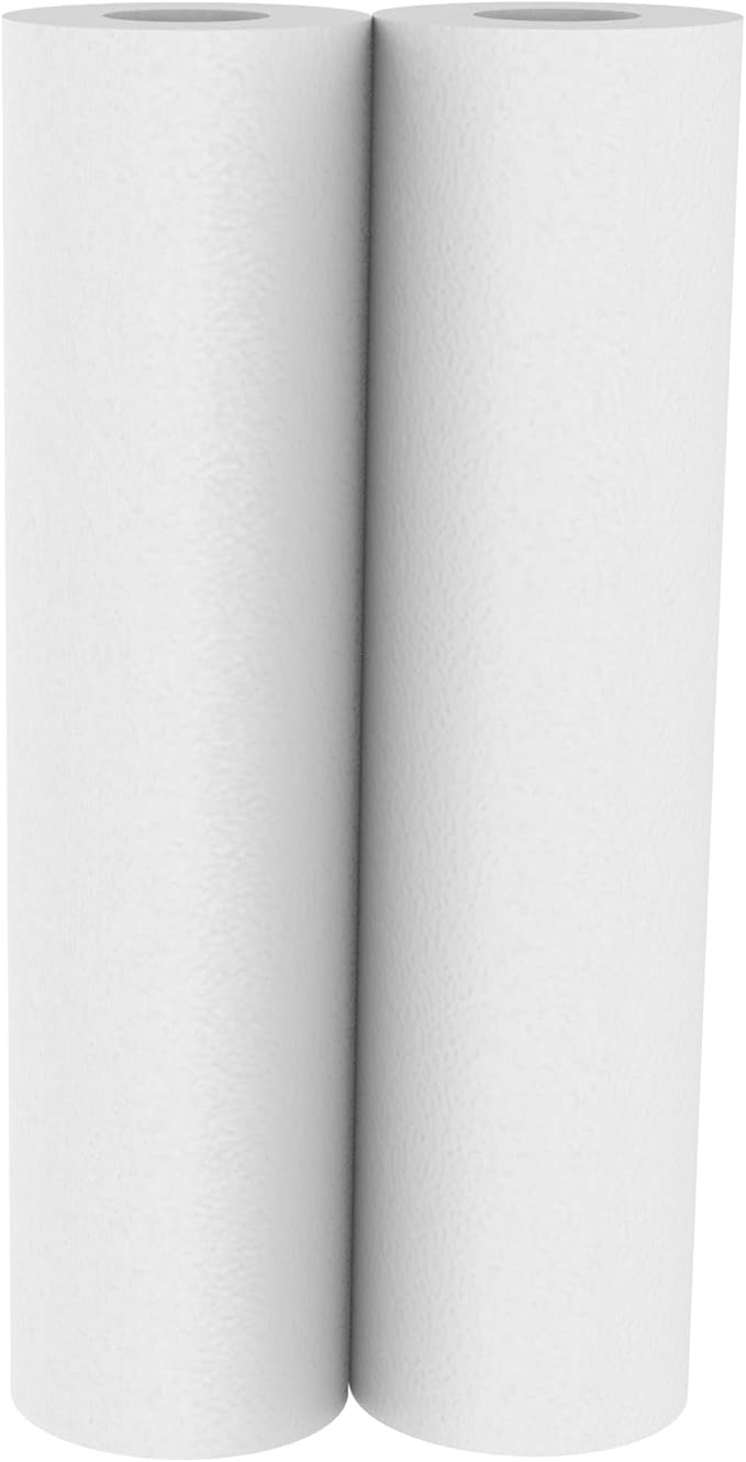 Pentair OMNIFilter RS14 Sediment Water Filter, 10-Inch, Standard Whole House Polypropylene Spun Sediment Replacement Filter Cartridge, 10" x 2.5", 5 Micron, Pack of 2