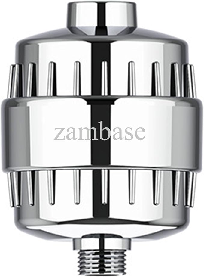 Shower Head Filter for Reduction of Hard Water, Chlorine, & Heavy Metals to Soothe Dry Itchy Skin, Dandruff and Eczema for Healthier Skin & Hair, Fits All Showers (Silvery)
