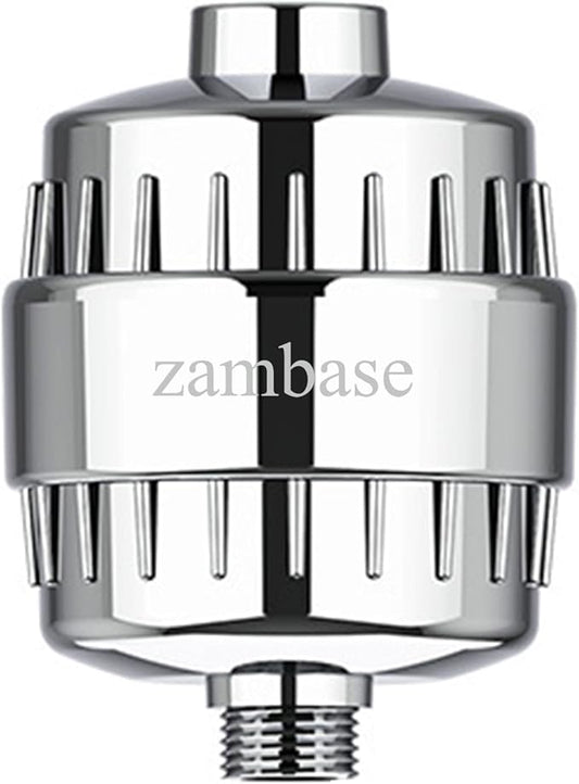 Shower Head Filter for Reduction of Hard Water, Chlorine, & Heavy Metals to Soothe Dry Itchy Skin, Dandruff and Eczema for Healthier Skin & Hair, Fits All Showers (Silvery)
