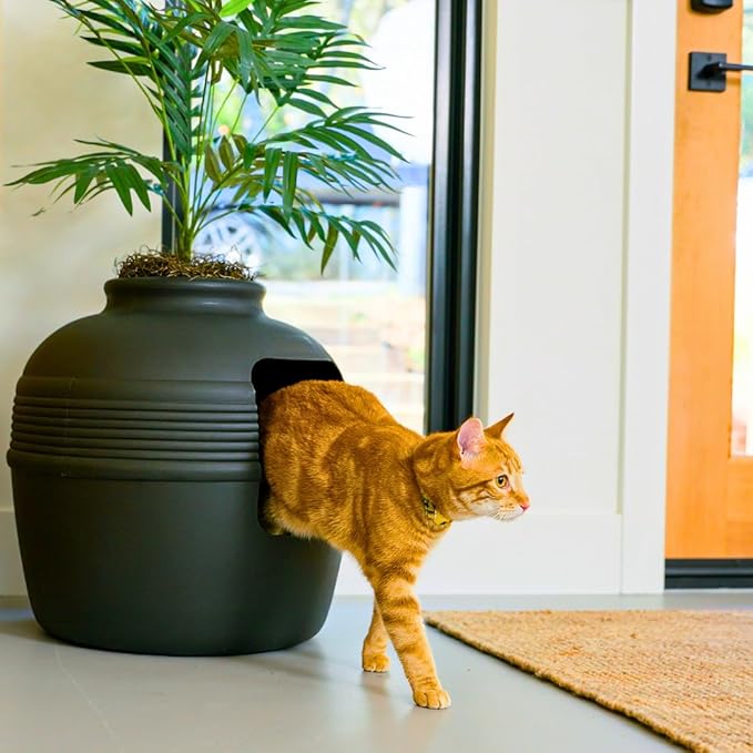 Good Pet Stuff Hidden Litter Box Planter, Decorative Cat Litter Enclosure with Carbon Filter & Faux Plant, Made in USA, Odor Control, Improved Design, NEW Round Style, Base Kit, Matte Black
