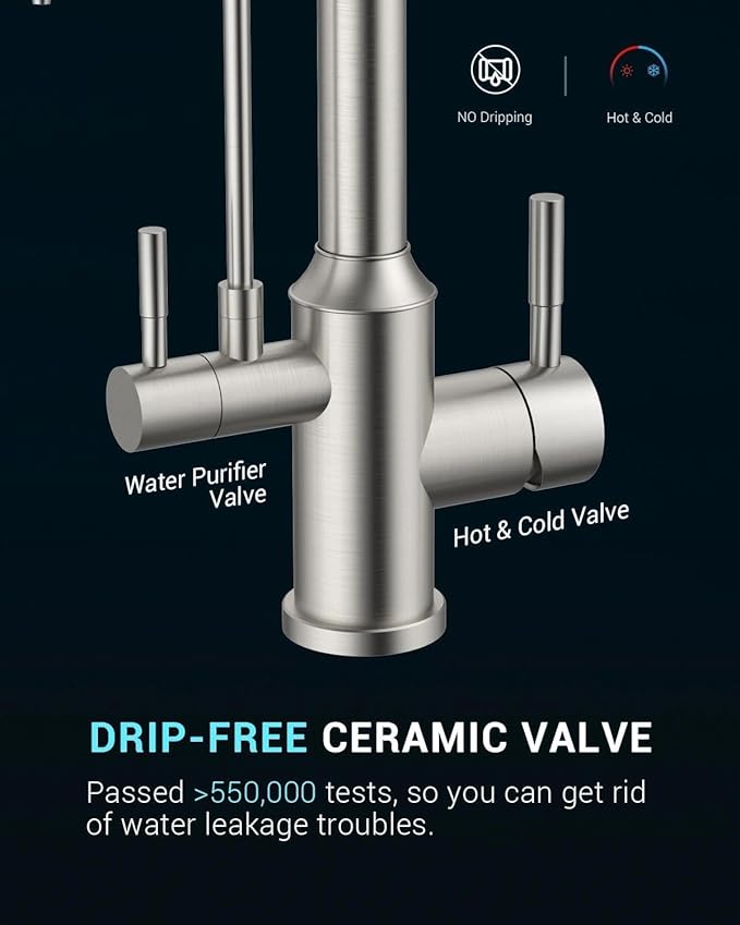APPASO Kitchen Faucet with Water Filter, CUPC Certified Water Hose, Pull Out 3 Way Sink Faucets with Sprayer, High Arch 2 Handle Faucet - 2 in 1 Faucets Brushed Nickel, Without Filtration Device