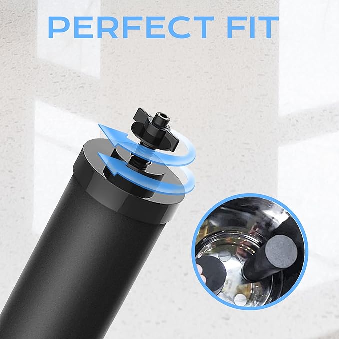 2387 Pro Black Filter, 2-Pack NSF/ANSI 42 Certified Replacement for Alexapure 2387 Filter, Compatible with Alexapure Water Filtration System 5000 Gallon