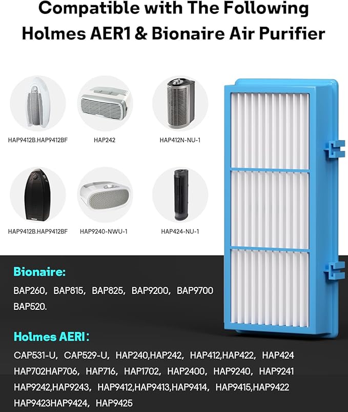 Leemone Aer1 Filter Replacement for Holmes Air Purifiers, 2 True HEPA Filters + 4 Carbon Booster Filters, HAPF30AT