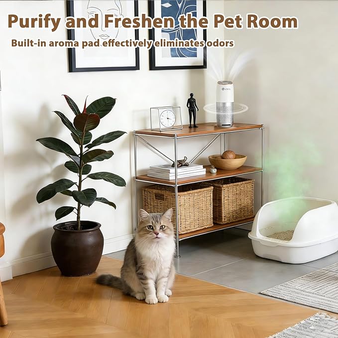 Aucleia Mini Portable Air Purifier with True H13 HEPA Filter, Car Air Purifier for Travel and Office to Remove Pet Hair and Odor Smoke Dust and Pollen, Aromatherapy Function White Gray