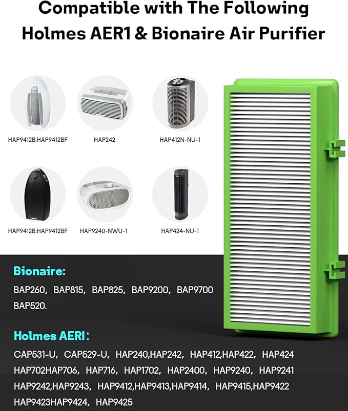 Leemone Aer1 Filter Replacement for Holmes Air Purifiers, 2 True HEPA Filters + 4 Carbon Booster Filters, HAPF30AT