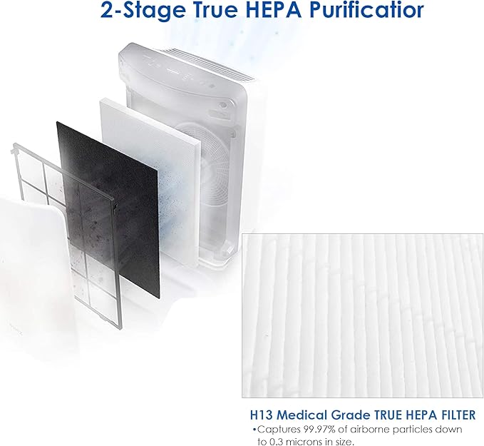 C545 Replacement Filter S, Compatible with Winix C545 Air Purifier, Part Number 1712-0096-00, H13 Grade Air Filters, 2-Pack