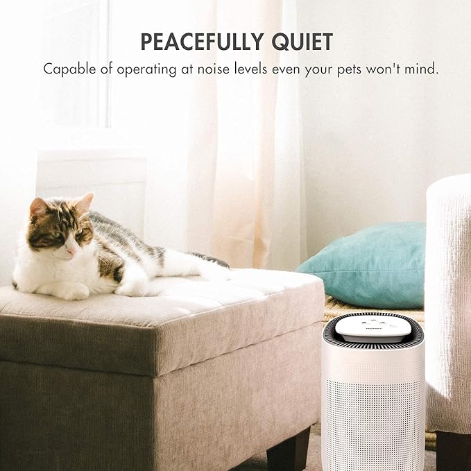 Tenergy Sorbi Dehumidifier w/Air Purifying Function and 3-Pack Replacement H13 Medical Grade Hepa Filter, Ultra-Quiet, Adjustable Air Speeds, and Touch Control