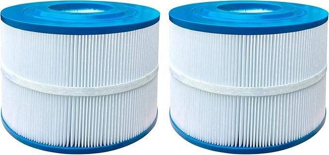 PBF40 Spa Filter Compatible with Bull Frog Spas and Bulk Savings, Wellspring 30 Coreless 10-00282, 40 Sq.Ft., 2 Pack