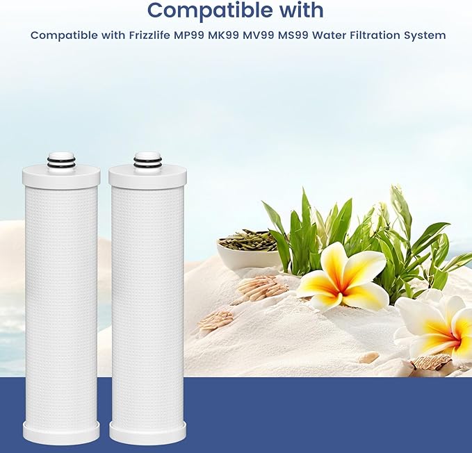 FZ-2 Replacement Filter Cartridge Compatible with Frizzlife MP99, MK99, MS99 Water Filter & MV99 RV Filter, 2 Packs