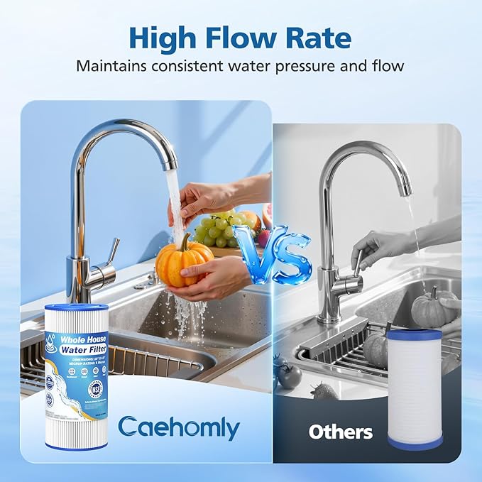 5 Micron 10" x 4.5" Whole House Water Filter Compatible with GE FXHSC, GXWH40L, Plumber W50PEHD, Culligan R50-BBSA, Pentek R50-BB, W10-PR, DuPont WFHDC3001, W50PEHD, High Flow Sediment Filters, 2 Pack