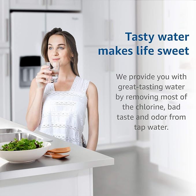 Waterdrop F-201R Water Filter Cartridge, Replacement for InSinkErator® F-201R Water Filter Cartridge for Hot Water Dispenser, NSF/ANSI 42&372, 4400 Gallons, 2 Pack, Model No.WD-W10