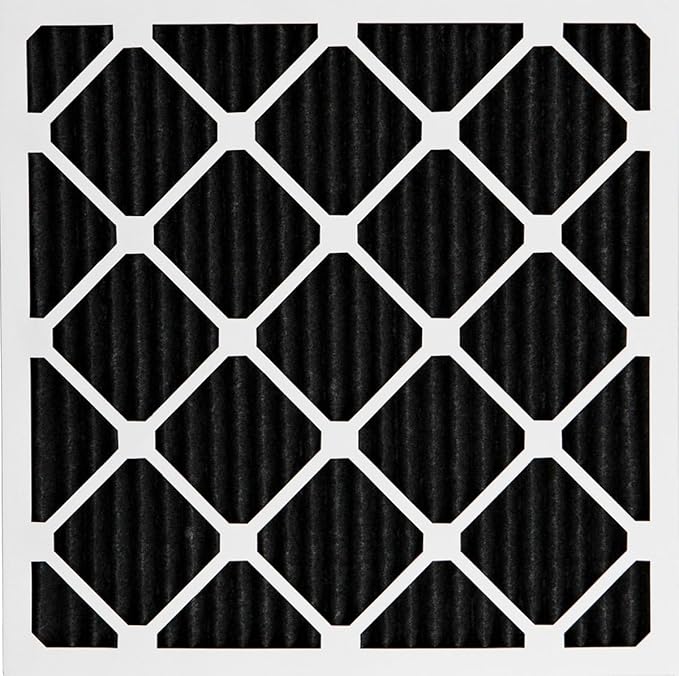 Nordic Pure 20x20x1 (Actual Size: 19 1/2 x 19 1/2 x 3/4) Pure Carbon Pleated Odor Reduction Furnace Air Filters 2 Pack