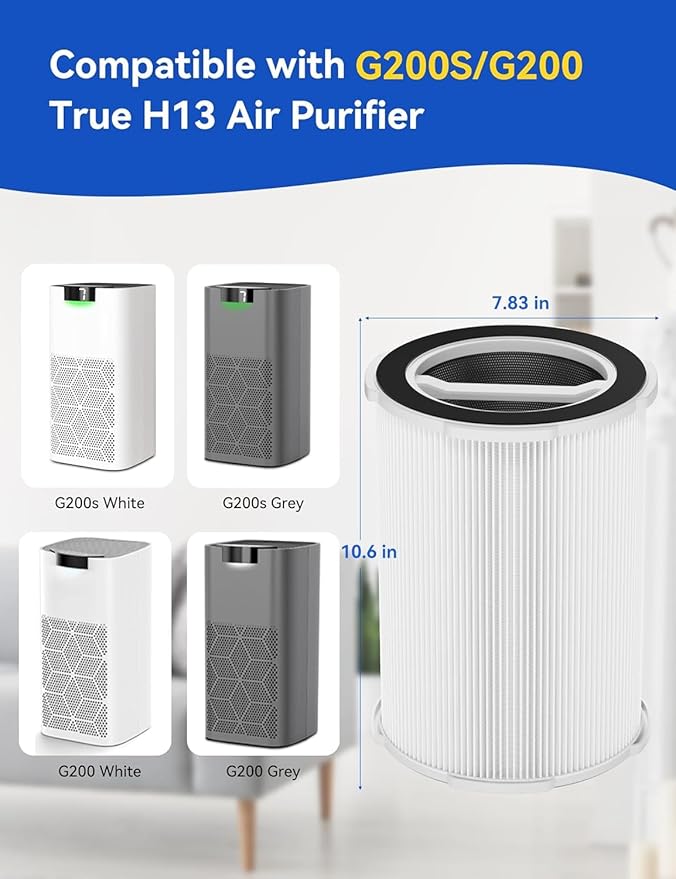 2 Pakcs G200/G200S Air Purifier Replacement Filter, Fit for G200S/G200 Air Purifier, 3-in-1 H13 Ture HEPA and Activated Carbon Air Filter for Pet Hair Dander Pollen Smoke Odor Dust Kitchen Smells