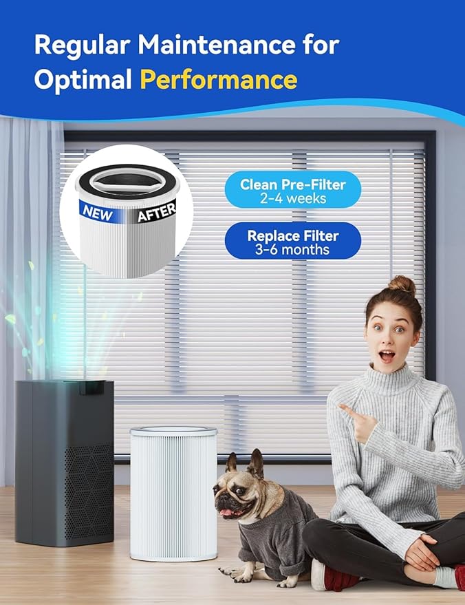 2 Pakcs G200/G200S Air Purifier Replacement Filter, Fit for G200S/G200 Air Purifier, 3-in-1 H13 Ture HEPA and Activated Carbon Air Filter for Pet Hair Dander Pollen Smoke Odor Dust Kitchen Smells