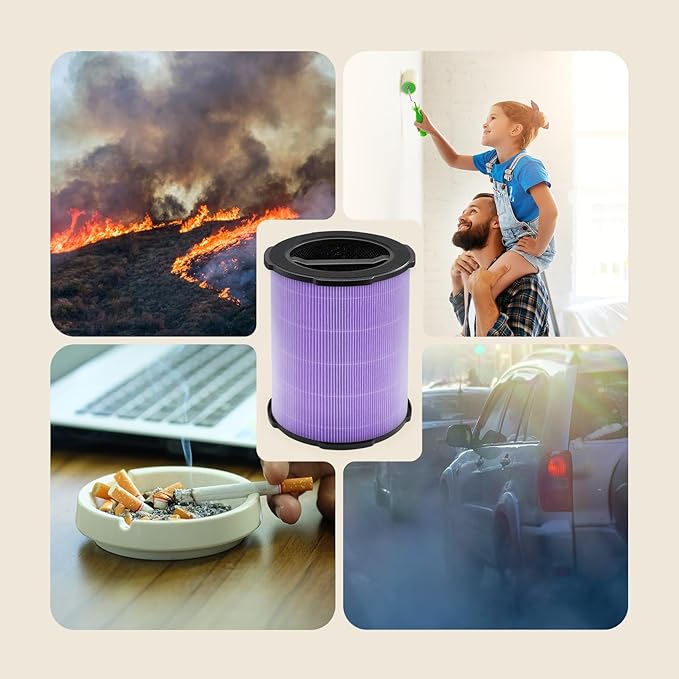 WELOV P200S/P200 Pro Toxin Absorber Filter, 3-in-1 H13 True HEPA and High-Efficiency Activated Carbon Filter for formaldehyde, Toxins, Wildfire Smoke, Kitchen Odors