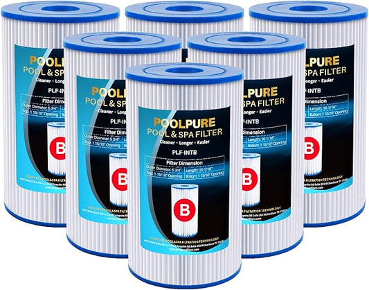 POOLPURE Type B Pool Filters Compatible with Intex 29005E, 29005/59905, JPC01 Type IV-B, 28633EG, 2500 GPH Cartridge Filter Pump, Flow Clear/Easy Set Reusable Swimming Pool Filter Cartridge, 6 Pack