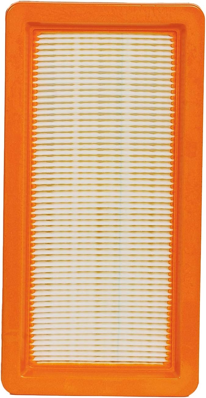 HIFROM Vacuum Cleaner Replacement Air Filter for DS5500 DS5600 DS5800 DS6000 Vacuum Cleaner Accessery (2 Pack)