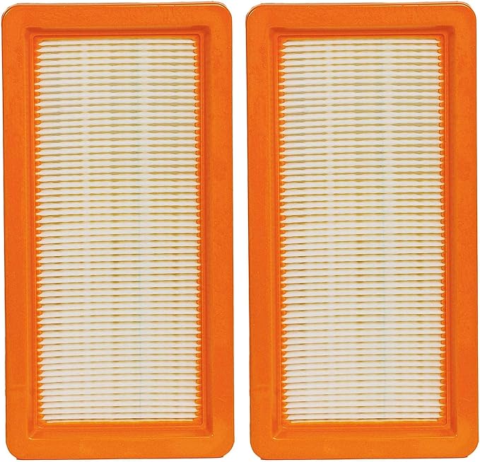 HIFROM Vacuum Cleaner Replacement Air Filter for DS5500 DS5600 DS5800 DS6000 Vacuum Cleaner Accessery (2 Pack)