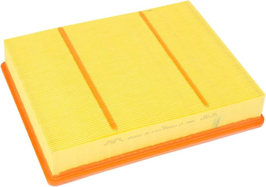 ACDelco GM Original Equipment A3218C (23349854) Air Filter