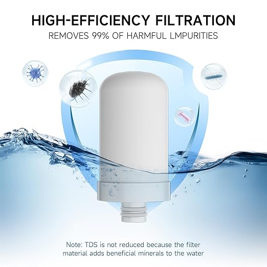 Water Filter for Sink Faucet, Stainless Steel Water Purifier for Kitchen Sink, Reduces PFAS, Lead, Chlorine & Microplastics, 350 Gallons Long-Lasting for Kitchen & Bathroom, 2 Filters