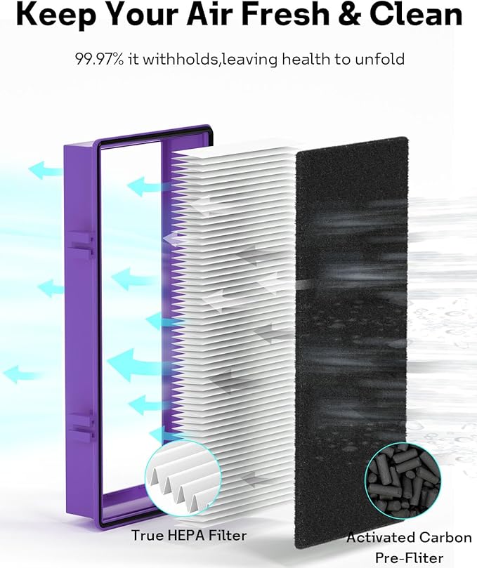 Leemone Aer1 Filter Replacement for Holmes Air Purifiers, 2 True HEPA Filters + 4 Carbon Booster Filters, HAPF300AP-U4