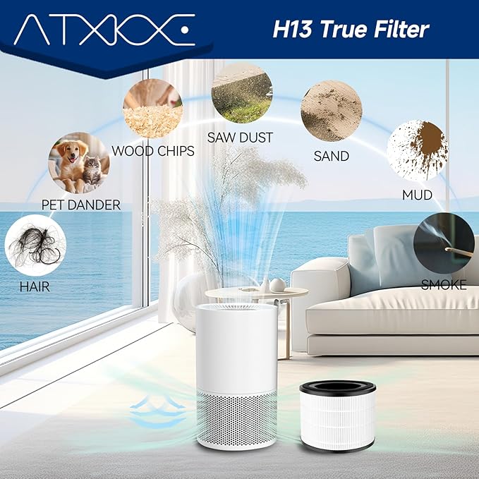 ATXKXE 2 Pack AP-S0610L Air Filter Replacement Fit for Mooka AP-S0610L Air Purifier, 3-in-1 True Filter
