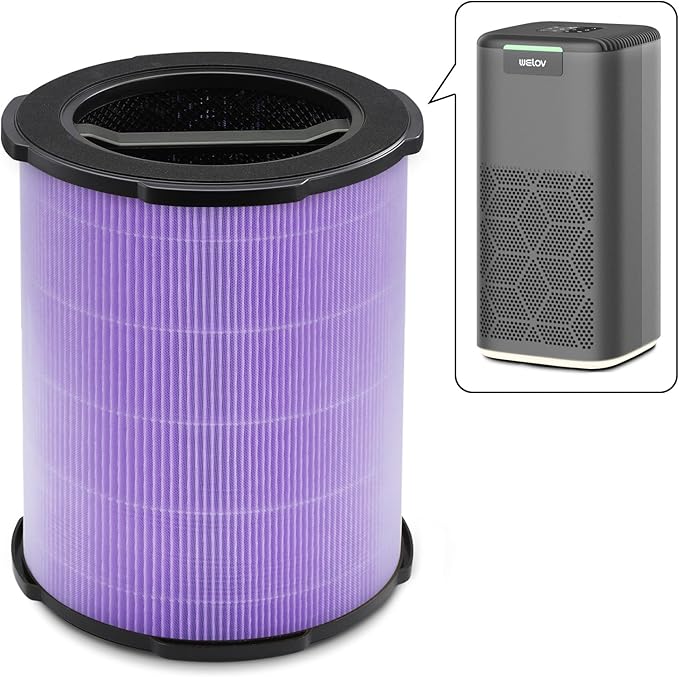 WELOV P200S/P200 Pro Toxin Absorber Filter, 3-in-1 H13 True HEPA and High-Efficiency Activated Carbon Filter for formaldehyde, Toxins, Wildfire Smoke, Kitchen Odors