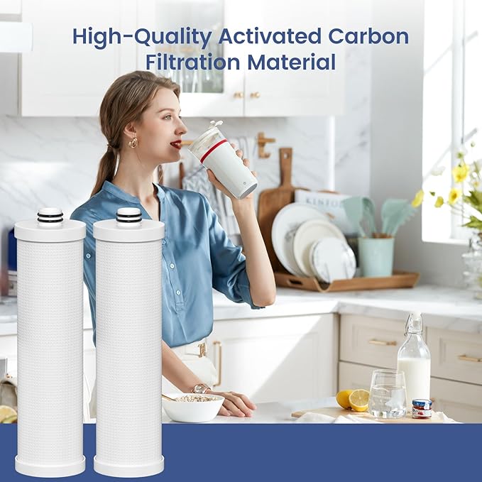 FZ-2 Replacement Filter Cartridge Compatible with Frizzlife MP99, MK99, MS99 Water Filter & MV99 RV Filter, 2 Packs