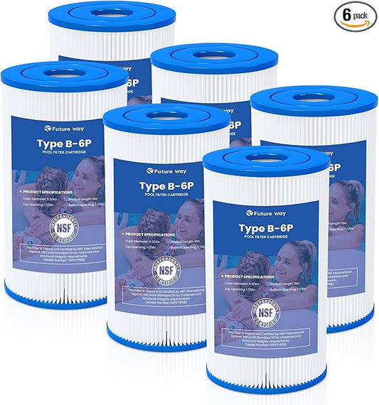 Future Way 6 Pack Type B Pool Filter Cartridge Replacement for Intex 29005E & 2500 GPH Pump, Fits Easy Set Above Ground Pools