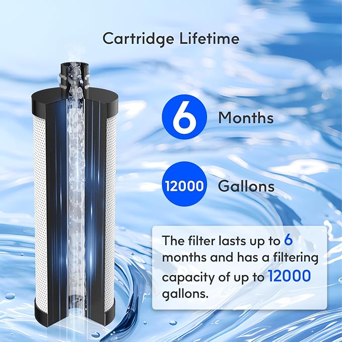 Lifefilter Carbon Shower Head Filter, 2.0 Carbon Shower Filter removes chlorine, heavy metals and other impurities from the water, improving dry skin and hair (2 Pack)