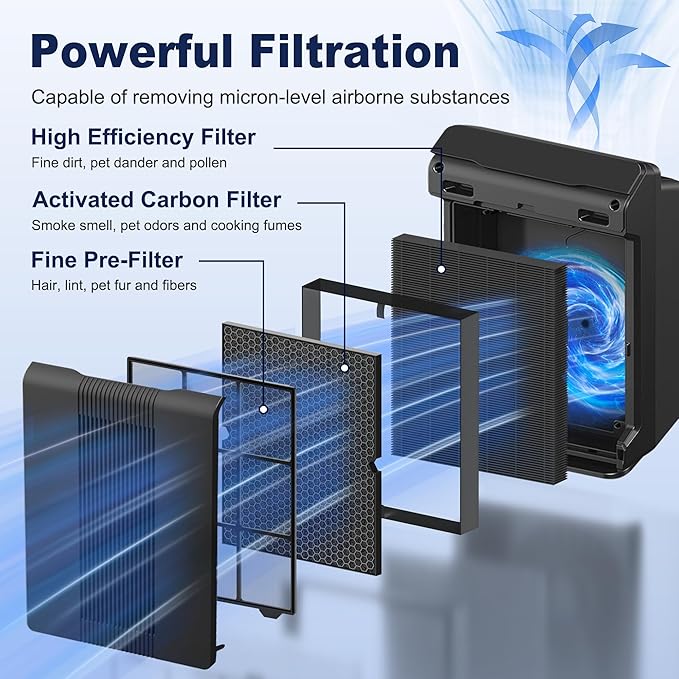 116130 Smoke Remover Replacement Filter H for Winix 5500-2 AM80 Plasmawave Air Purifier, High Efficiency Filter and Activated Carbon Filter Combo Pack, 2 Set, Black, For Home Office Livingroom Bedroom