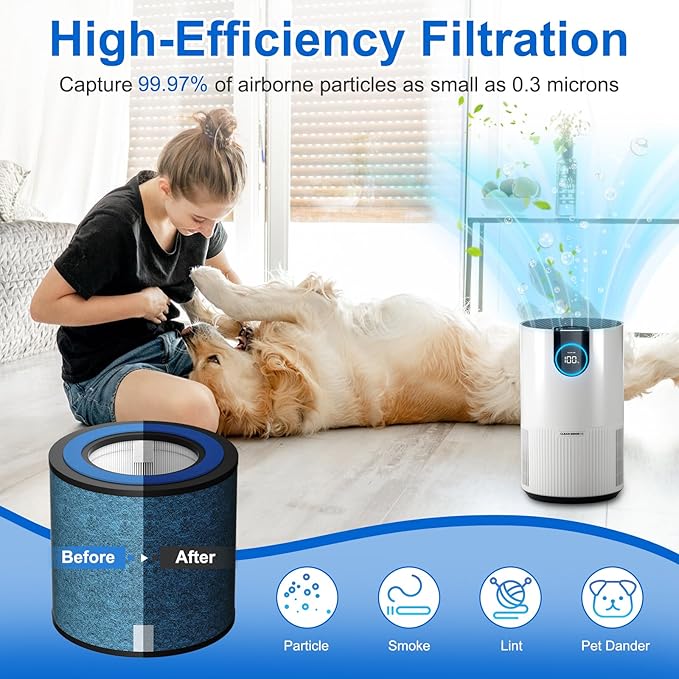 2 Pack HP152 HP153 Replacement Filter Compatible with Shark HP152 HP153 HP155 HP100 HP102 HP132 and HC450 HC451 HC452 HC455 Air Purifier, Part No. HE1FKPET, HE1FKBAS