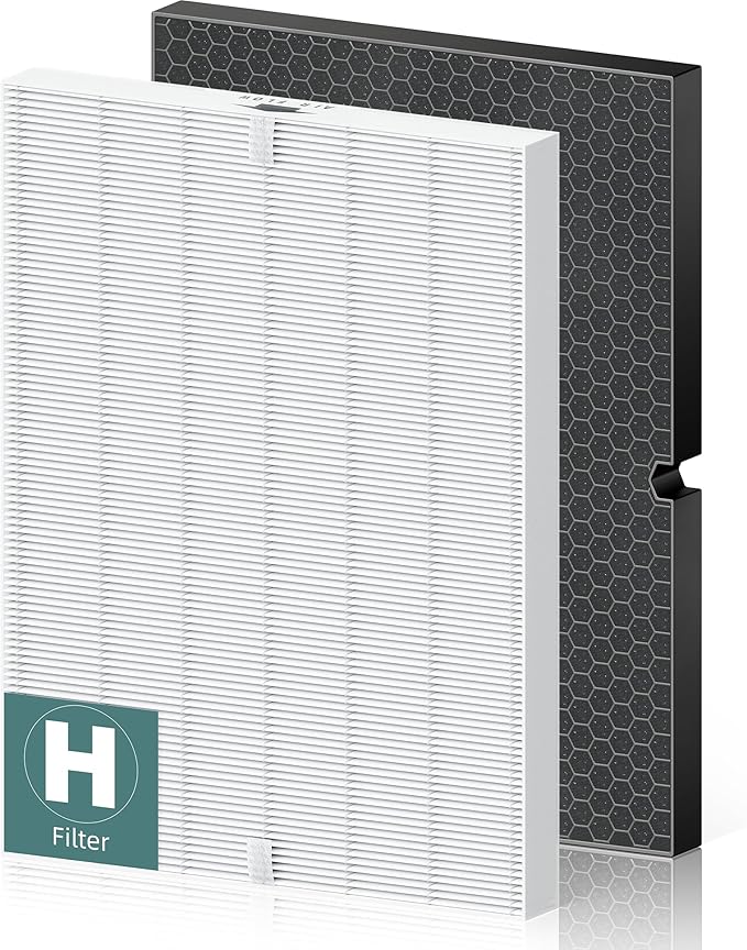 116130 Replacement Filter H for Winix 5500-2 AM80 Plasmawave Air Purifier, High Efficiency Filter and Activated Carbon Filter Combo Pack, 1 Set